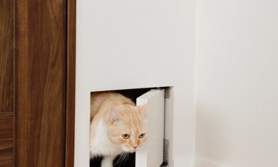 キッチンが主役。愛猫が自由に回遊できる100平米超のリノベーション。 (冬の隙間風解消！愛猫もうれしいくぐり戸)