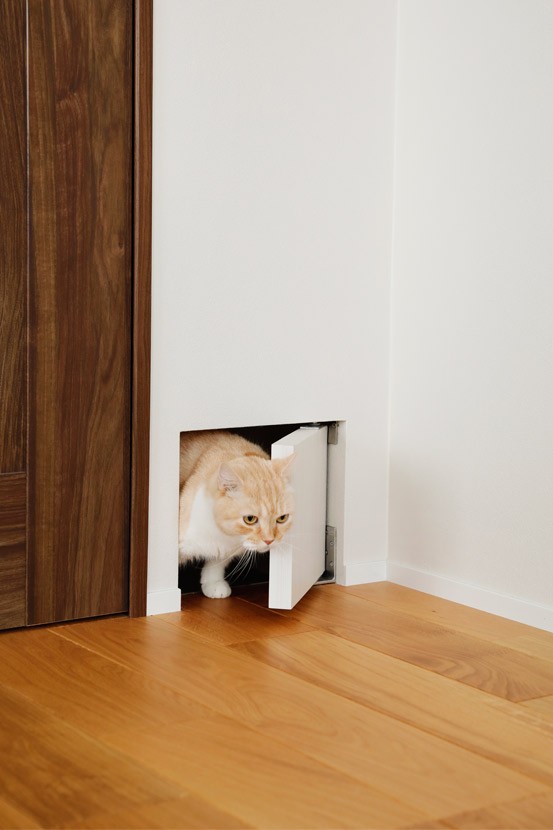 玄関事例：冬の隙間風解消！愛猫もうれしいくぐり戸（キッチンが主役。愛猫が自由に回遊できる100平米超のリノベーション。）