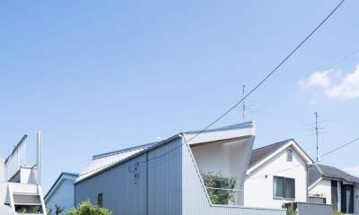 スキユハウス　―犬と暮らす、ねじれ屋根の家― (ねじれた屋根と開いた壁面)