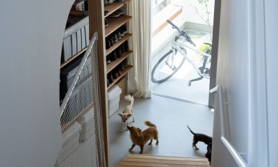 階段から土間を見おろす｜スキユハウス　―犬と暮らす、ねじれ屋根の家―