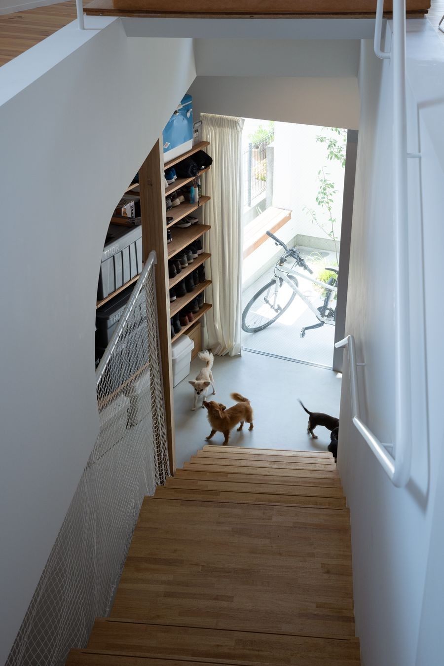 玄関事例：階段から土間を見おろす（スキユハウス　―犬と暮らす、ねじれ屋根の家―）