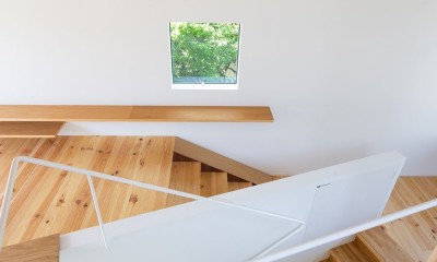 スキユハウス　―犬と暮らす、ねじれ屋根の家― (斜めに配置された階段)