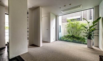光と風、緑を楽しむ都市の家／東京都新宿区 (坪庭をのぞむエントランス)