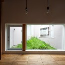 ヤナカノイエ　―ギャラリー付の戸建て住宅リノベーションの写真 ダイニングキッチンから見る草屋根テラス（中庭）