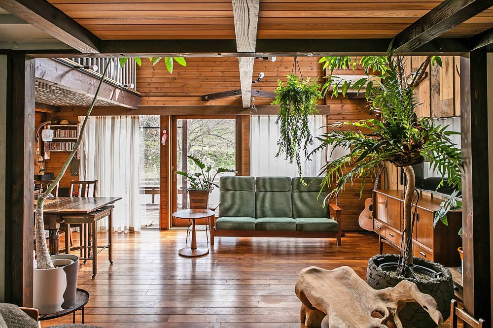 ヴィンテージ家具と植物と木とテグラがつくりだす空間　東琵琶湖の家 (リビング・ダイニング)