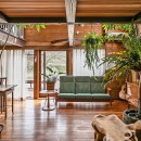 ヴィンテージ家具と植物と木とテグラがつくりだす空間　東琵琶湖の家の写真 リビング・ダイニング