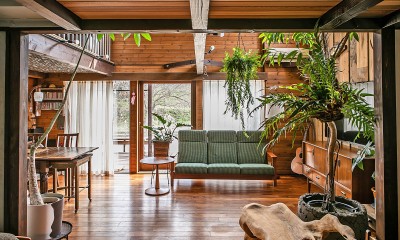 ヴィンテージ家具と植物と木とテグラがつくりだす空間　東琵琶湖の家 (リビング・ダイニング)