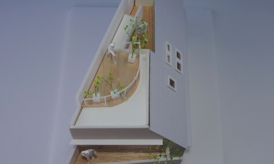 東新小岩の家 (東側鳥瞰模型。三角形の平面。)