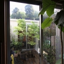 木質スケルトン＋ＤＩＹでつくるこだわり空間の写真 中庭