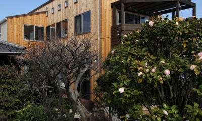 緑豊かな敷地環境を継承する木造スケルトンハウス