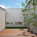 豊川の家-toyokawaの写真 中庭
