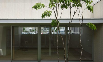 豊橋の家-toyohashi (中庭)