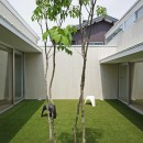 豊橋の家-toyohashiの写真 中庭2