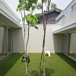 豊橋の家-toyohashi (中庭2)