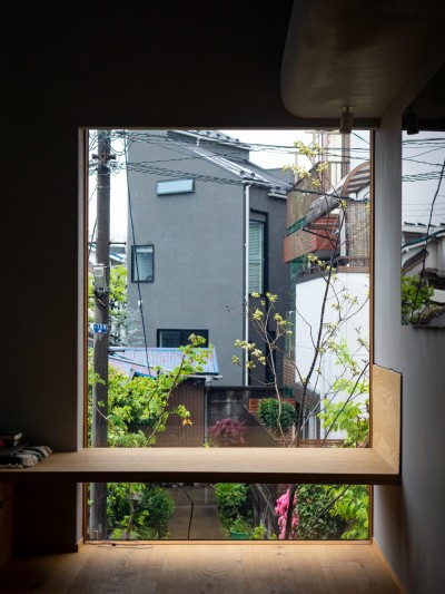 植栽を見る窓 (庭見る小居 - ささやかな居場所を散りばめた小さくておおらかな家（見学可能）)