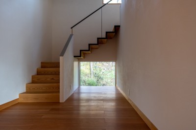 階段 (森に降りる家　玄関から降りると広がる景色)