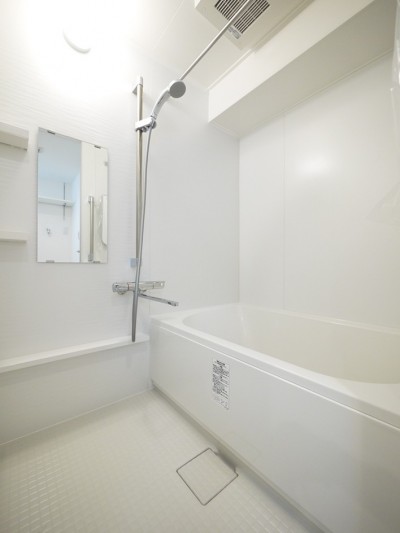 浴室 (グレーの壁のコンパクトな1LDK)