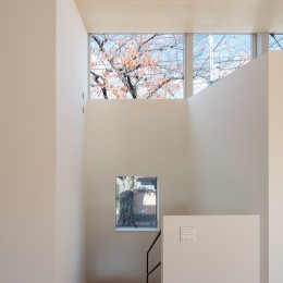 桜並木と暮らす家［こだわりのキッチンとバーベキューもできるデッキテラス］ (階段降り口から高窓を見る)