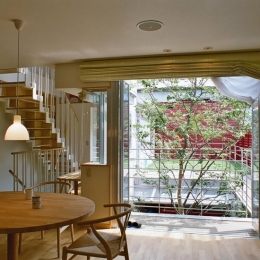 浅草の家―２階にある庭-シンボルツリーを眺めるリビング