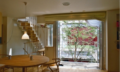 浅草の家―２階にある庭 (シンボルツリーを眺めるリビング)
