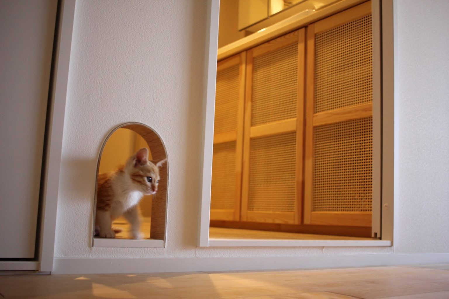 バス/トイレ事例：猫がきました！（「いい家だね」って１日に３回は言います。）