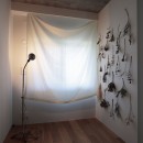 朝霧のマンションリフォーム／一枚の壁で生まれる多様なスペースの写真 個室