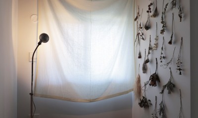 朝霧のマンションリフォーム／一枚の壁で生まれる多様なスペース (個室)