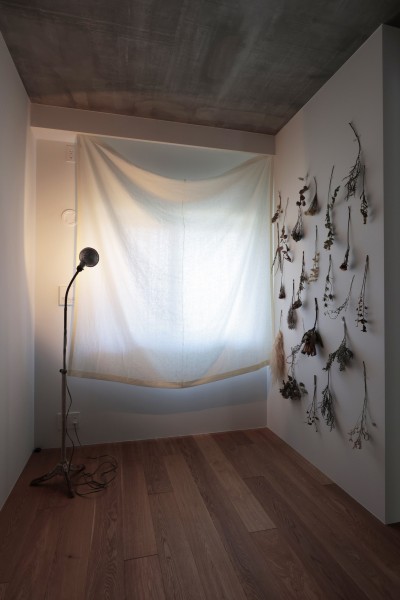個室 (朝霧のマンションリフォーム／一枚の壁で生まれる多様なスペース)