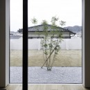 ”キタムキ　ノ　イエ”　北側の自然豊かな眺望を借景としながら、環境シミュレーションで住環境を最適化した住宅の写真 シンボルツリー
