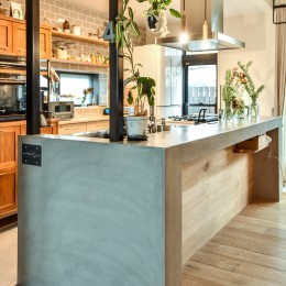 幸せな実家2世帯住宅リノベーション (モルタルのアイランドキッチンとその周りの植物)