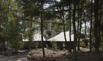 軽井沢追分の家：森の大屋根