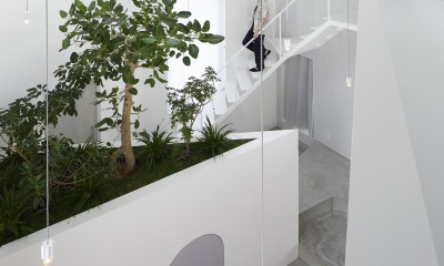 小平の家 (インドアグリーンと階段)