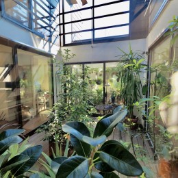 緑あふれる中庭 (中庭と温室のある猫のいる家)