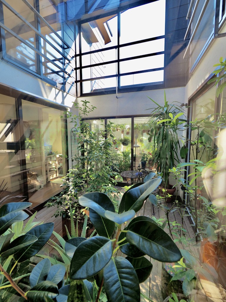 アウトドア事例：緑あふれる中庭（中庭と温室のある猫のいる家）