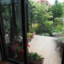 中庭と温室のある猫のいる家の写真 テラス