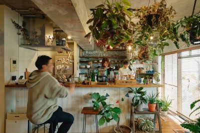 お家でカフェ気分 (家族でつくる、植物カフェ空間)