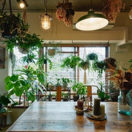 家族でつくる、植物カフェ空間 (窓からの光で明るく照らされる植物たち)