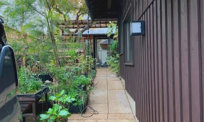 世田谷のコッテイジ、趣味のガーデニングの小さな住まいから多世代住宅へのリノベーション (道路からのアプローチ)