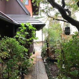 世田谷のコッテイジ、趣味のガーデニングの小さな住まいから多世代住宅へのリノベーション (中庭から道路への景観)