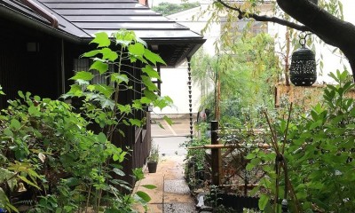 世田谷のコッテイジ、趣味のガーデニングの小さな住まいから多世代住宅へのリノベーション (中庭から道路への景観)