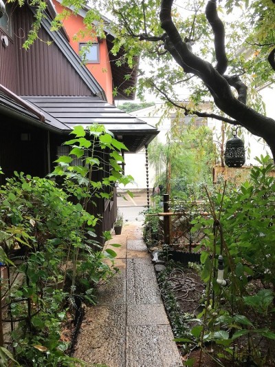 中庭から道路への景観 (世田谷のコッテイジ、趣味のガーデニングの小さな住まいから多世代住宅へのリノベーション)