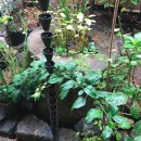 世田谷のコッテイジ、趣味のガーデニングの小さな住まいから多世代住宅へのリノベーションの写真 庭園の手水鉢