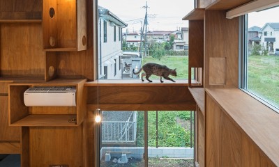 イヌとネコとヒトの家平屋+α　いぬねこアイディア満載の家 (階段)