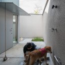 イヌとネコとヒトの家平屋+α　いぬねこアイディア満載の家の写真 玄関に犬の足洗い場