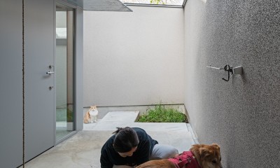 イヌとネコとヒトの家平屋+α　いぬねこアイディア満載の家 (玄関に犬の足洗い場)