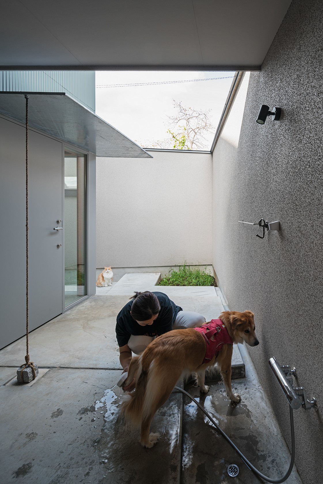 アウトドア事例：玄関に犬の足洗い場（イヌとネコとヒトの家平屋+α　いぬねこアイディア満載の家）