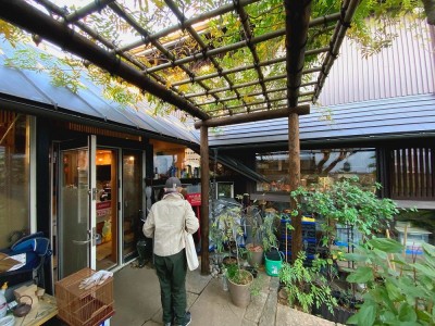 世田谷のコッテイジ、趣味のガーデニングの小さな住まいから多世代住宅へのリノベーション (既存部と増築部境目の外観)