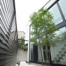 明暗のあるシンプルモダンの家／神奈川県横浜市の写真 プライバシーに配慮した庭