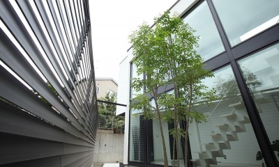 プライバシーに配慮した庭｜明暗のあるシンプルモダンの家／神奈川県横浜市