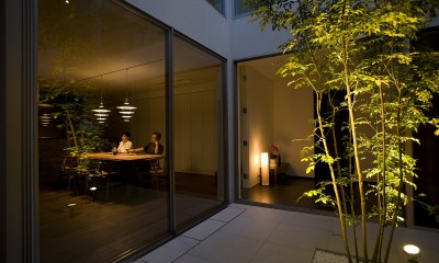 夜の中庭の景色を楽しむ｜光と影が織りなす美しい家／東京都中野区
